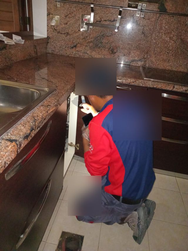 Pest control treatment in an apartment