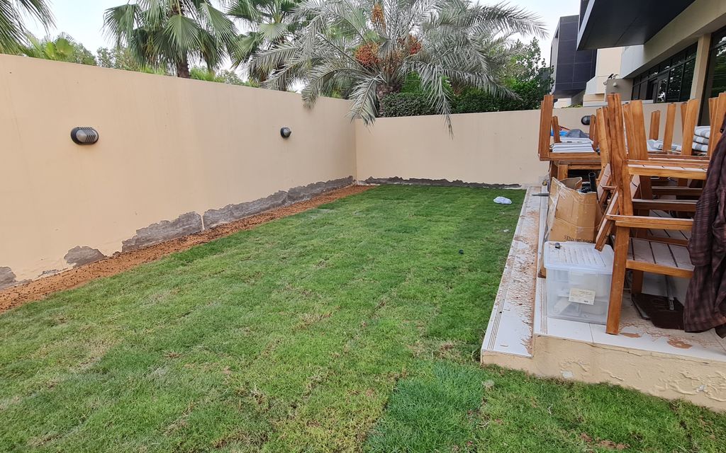 After: Sandy garden turned into a lawn